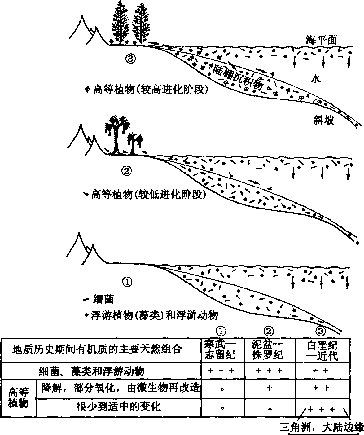 圖2—6 在地質歷史中水生沉積物中有機物質的主要天然組合