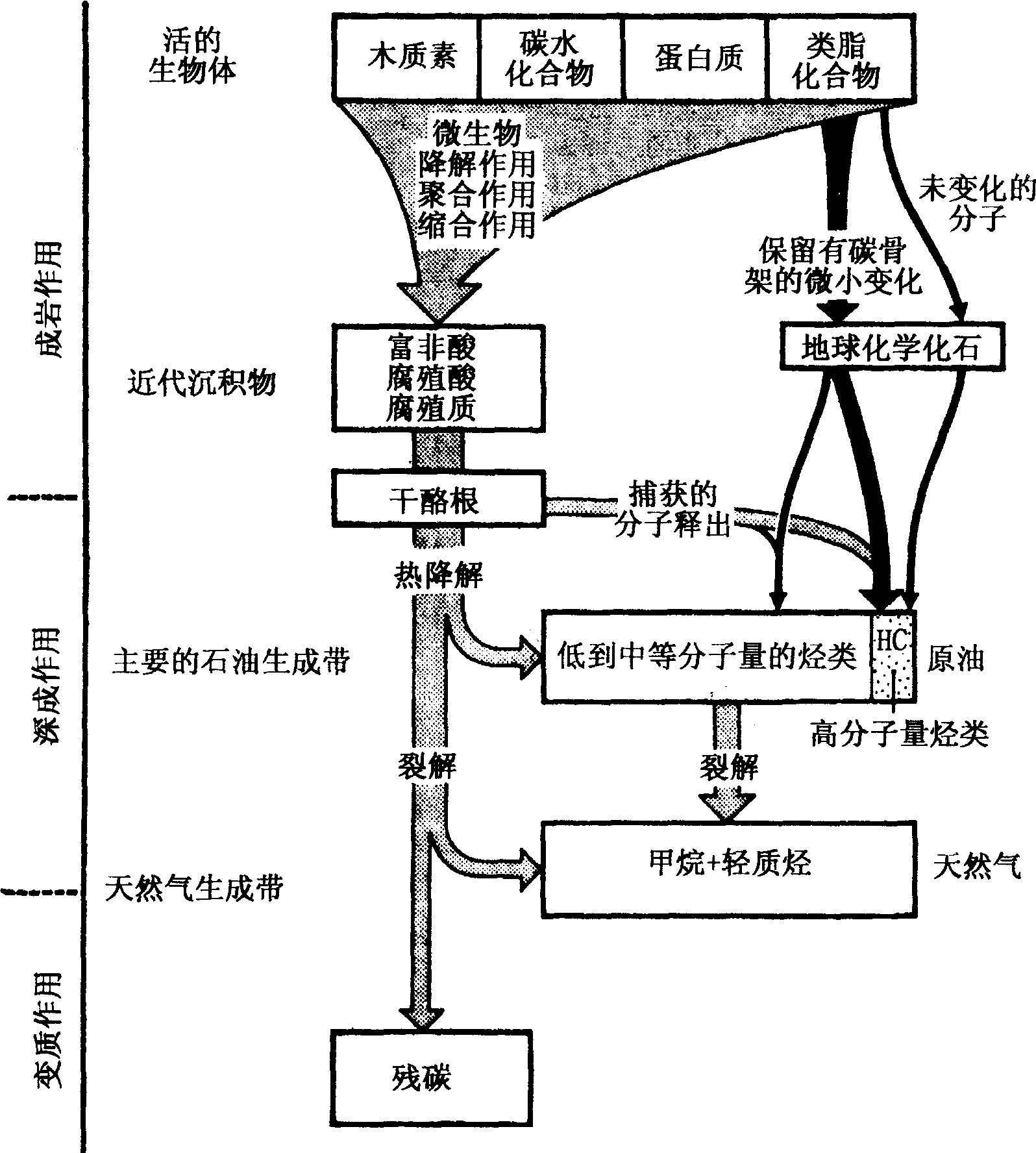 圖2—12 在與有機(jī)物質(zhì)演化有關(guān)的地質(zhì)條件下烴類(lèi)的來(lái)源