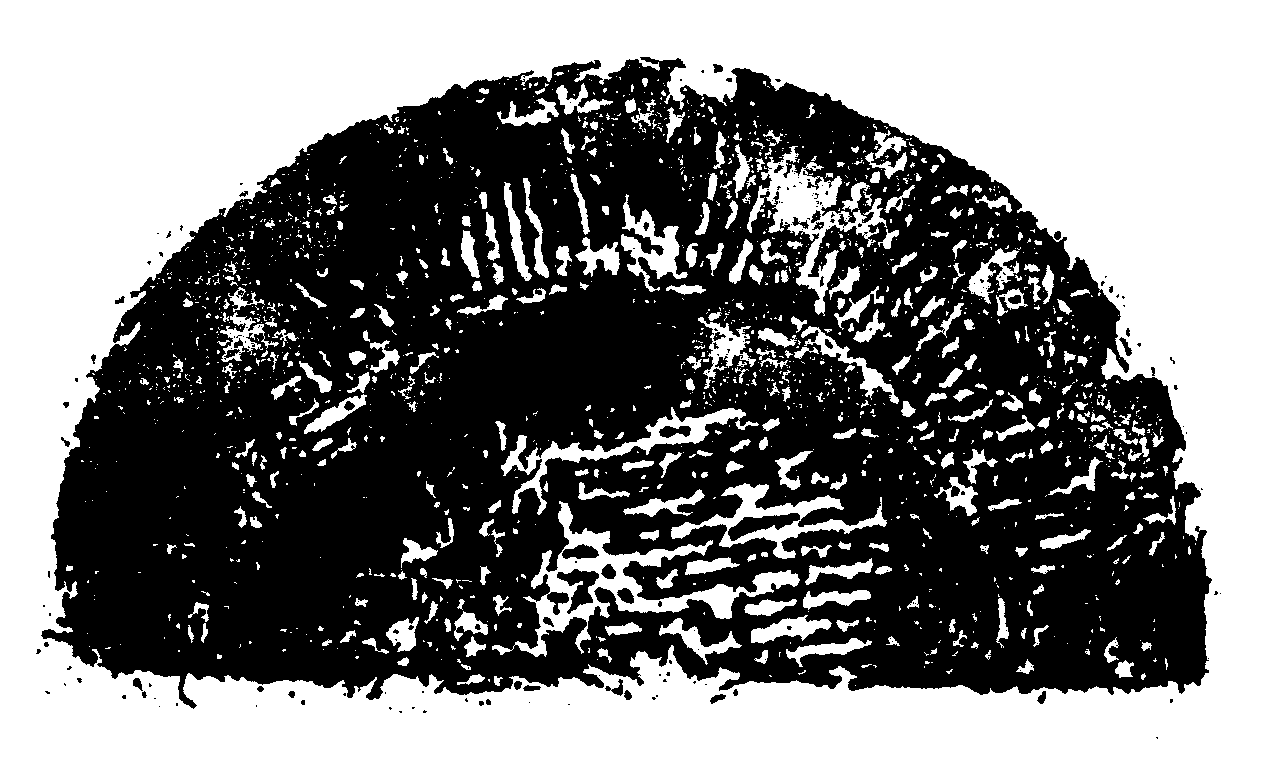 7.繩紋瓦當(dāng) 春秋