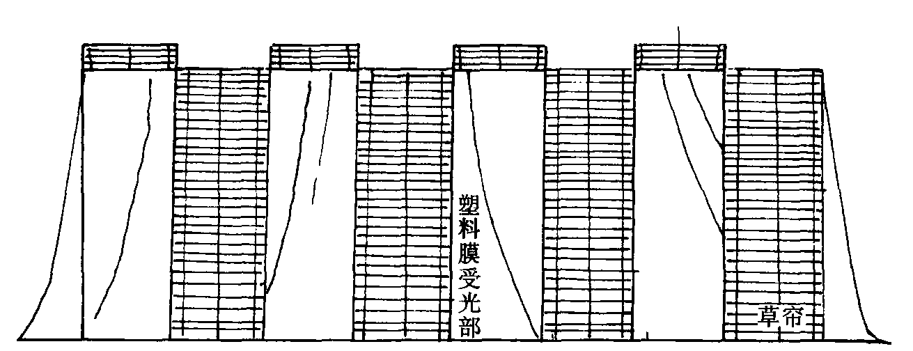 (五) 不同季節(jié)家兔的飼養(yǎng)管理