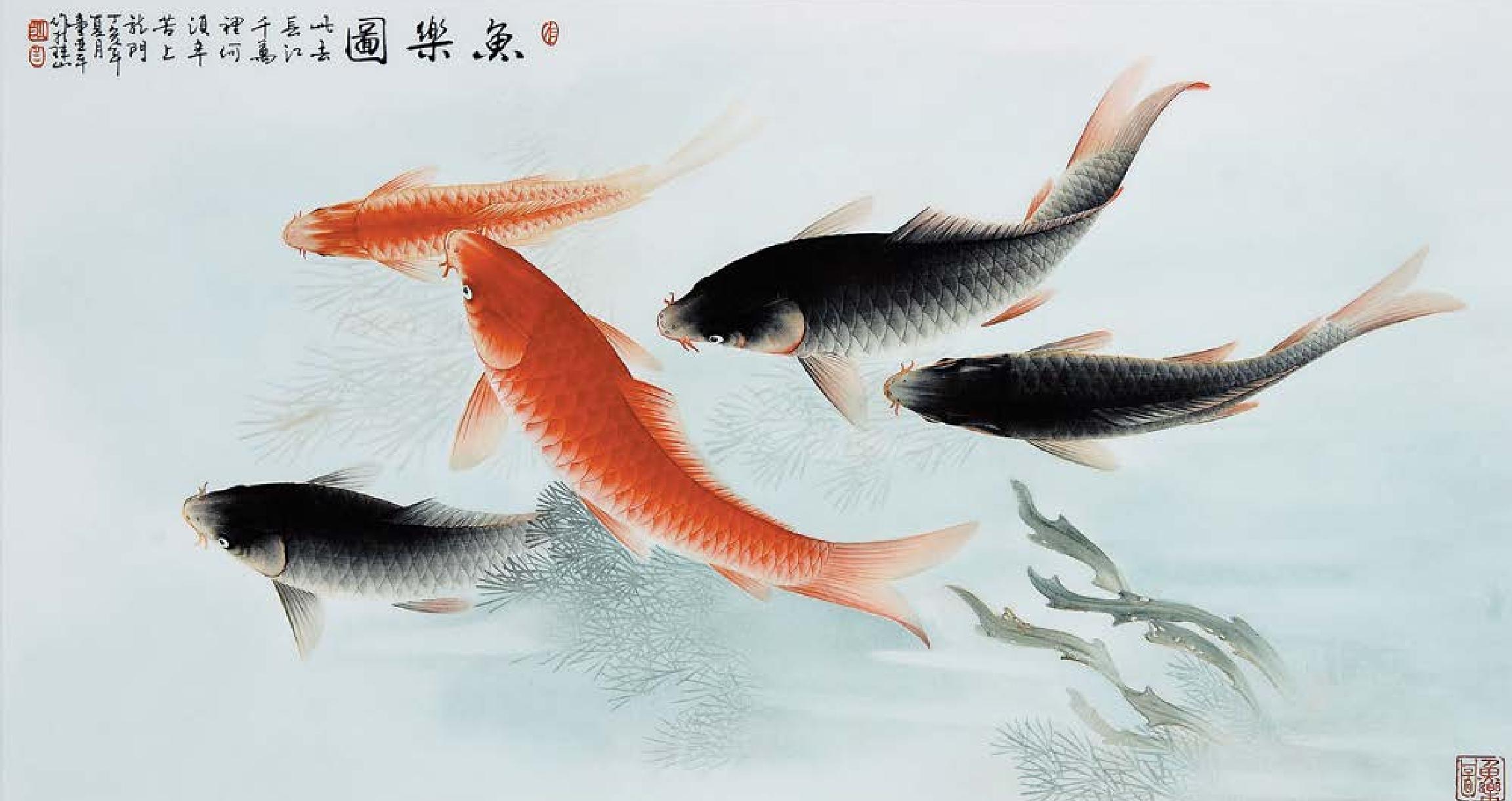 魚樂圖5